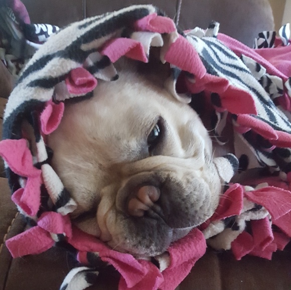 Meet your Posher, Erika - Picture 1 of 1